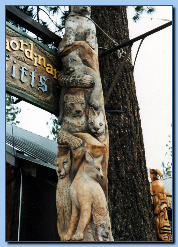 2 087 Totem Non Traditional Feline Pole Archive 007